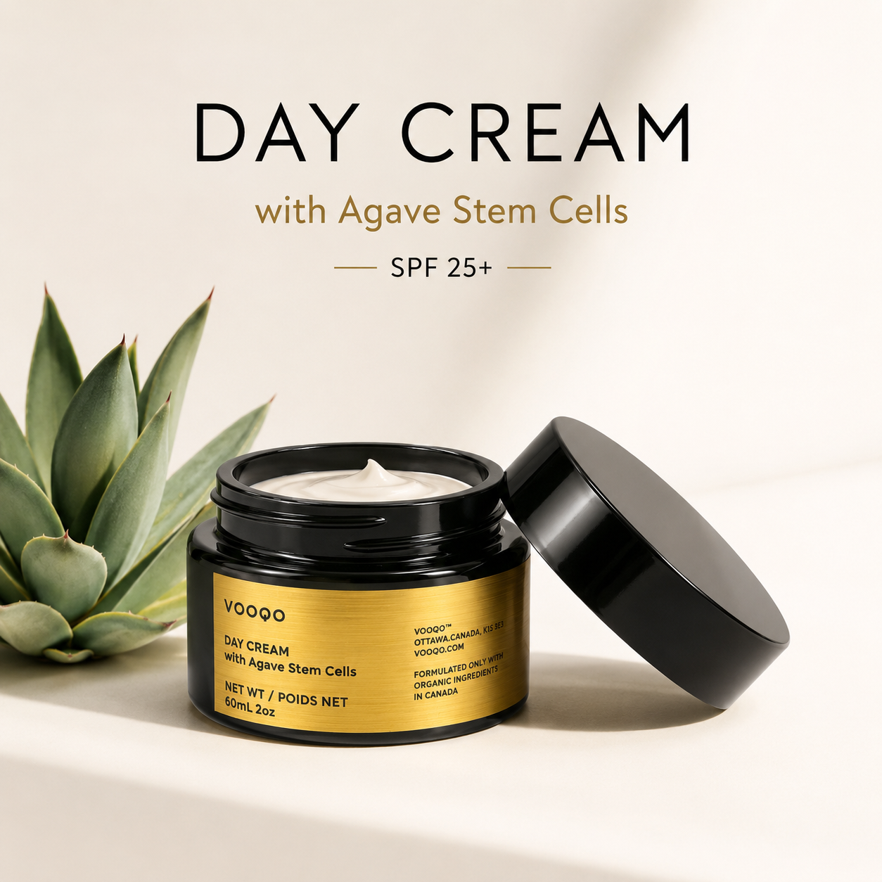 Vooqo Day Cream with Agave Stem Cells in a black jar with gold label on a clean neutral background.