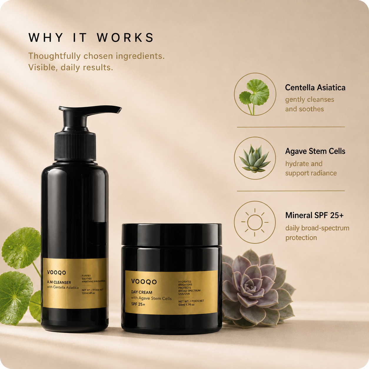 Why it works image for Vooqo Morning Glow Ritual featuring Centella Asiatica, Agave Stem Cells, and mineral SPF 25+.