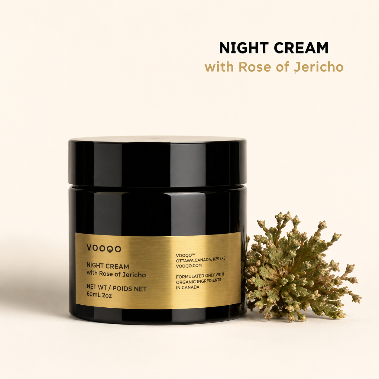 VOOQO Night Cream with Rose of Jericho in a black jar with gold label on a soft neutral background.