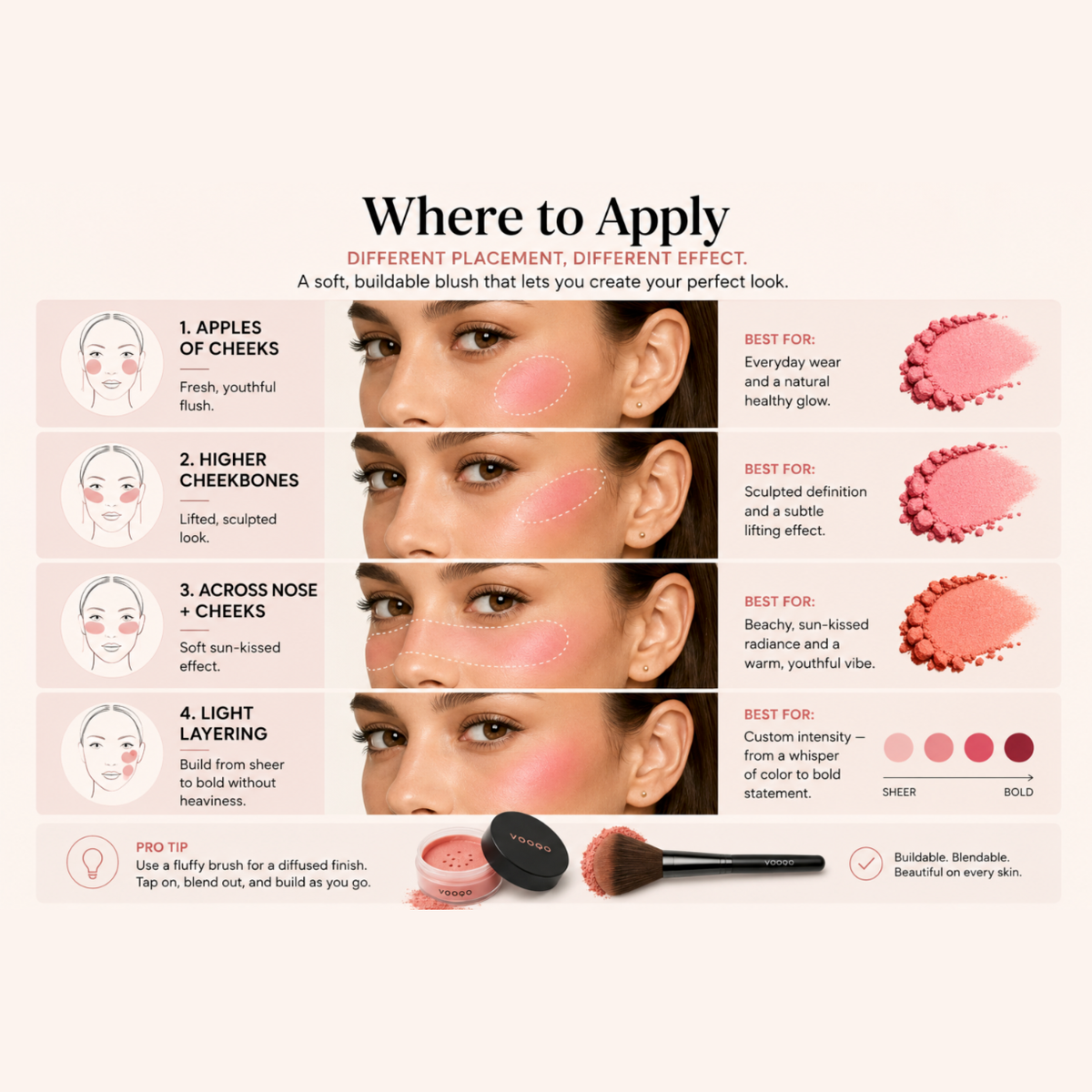 An educational makeup guide infographic titled 'Where to Apply' showing four steps for applying blush to different facial areas (cheeks, cheekbones, nose, and light layering) with corresponding diagrams, close-up photos of a model's face, and powder swatches.